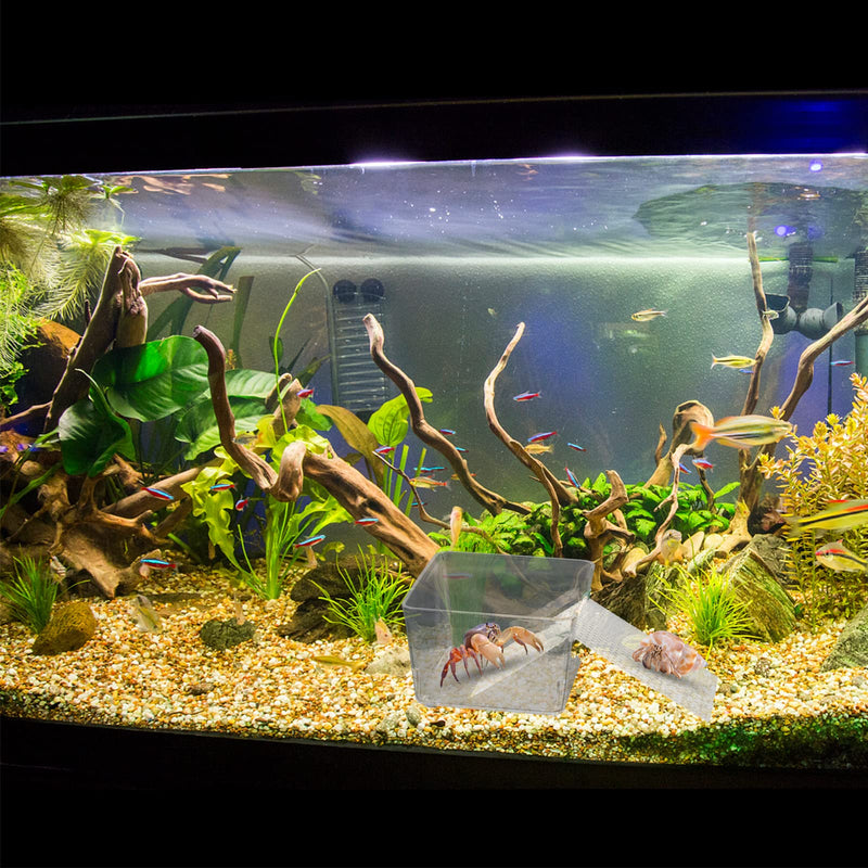 2 Pack Transparent Hermit Crab Water Tank with Climbing Ramp, Hermit Crab Aquarium Tank Cage Salt Water Pool Accessories, Hermit Crab Habitat for Small or Medium Hermit Crab Habitat - PawsPlanet Australia