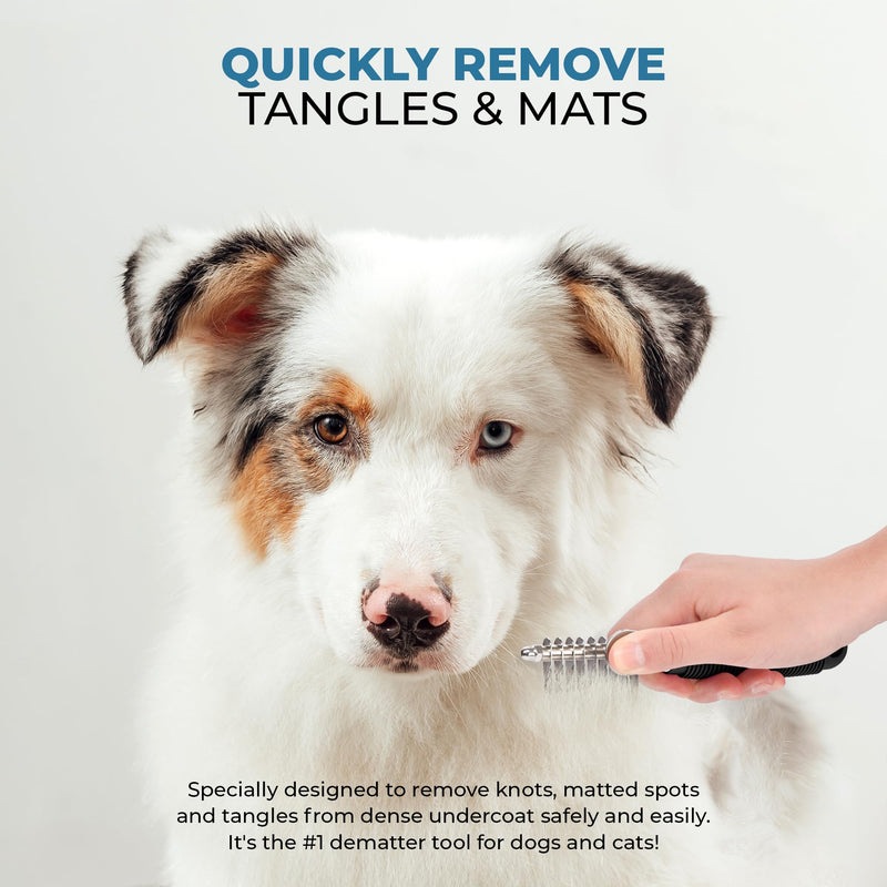 Poodle Pet Bundle - Round Bristle Pet Brush for Dogs and Cats + Dematting Fur Rake Comb Brush for Dogs and Cats for Detangling Matted or Knotted Undercoat Hair - PawsPlanet Australia