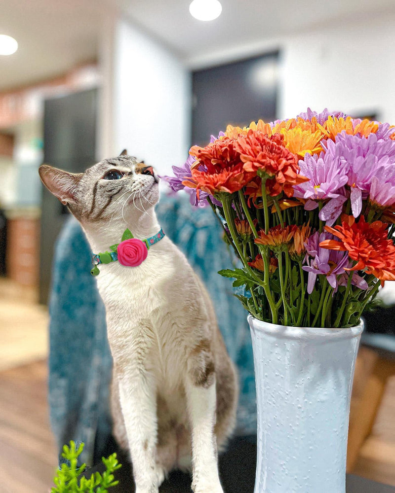 Spring Cat Collar, Floral Kitten Collar Breakaway, Flower Dog Collar for Small Dogs Female - PawsPlanet Australia