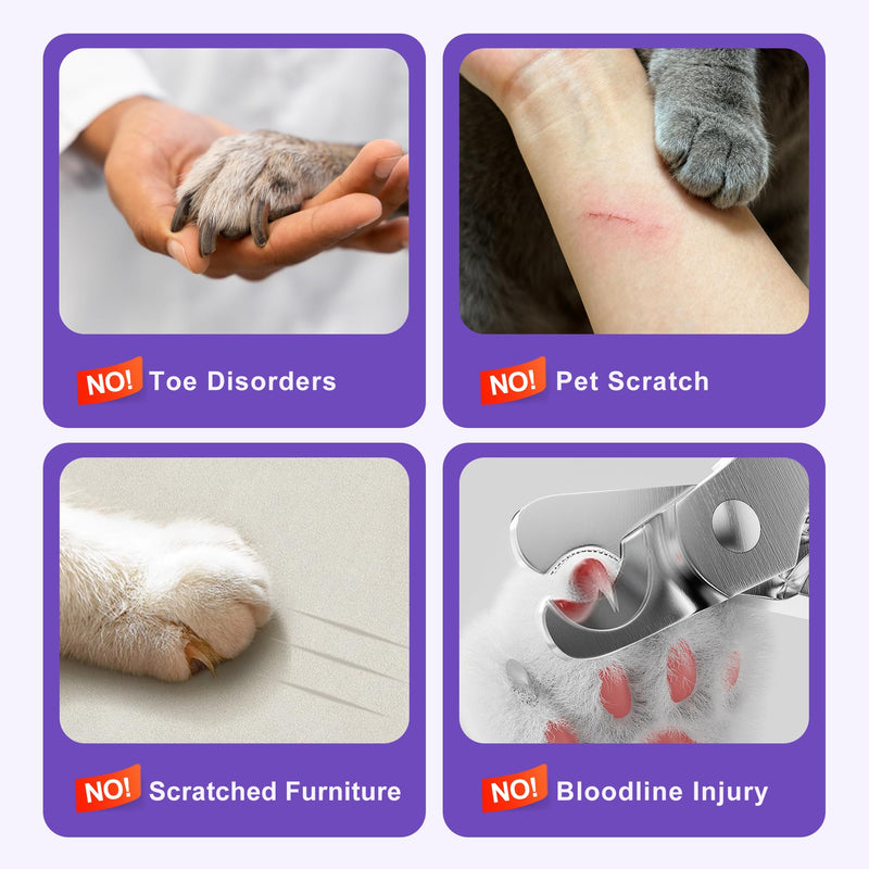Pet Nail Grinder Quiet Professional Cats Cordless Clippers Cat Claw Care Cat Grooming Clippers Cat Grooming Supplies with Charging Cable Easy to Hold Safety Guard for Small Dogs Cats White - PawsPlanet Australia