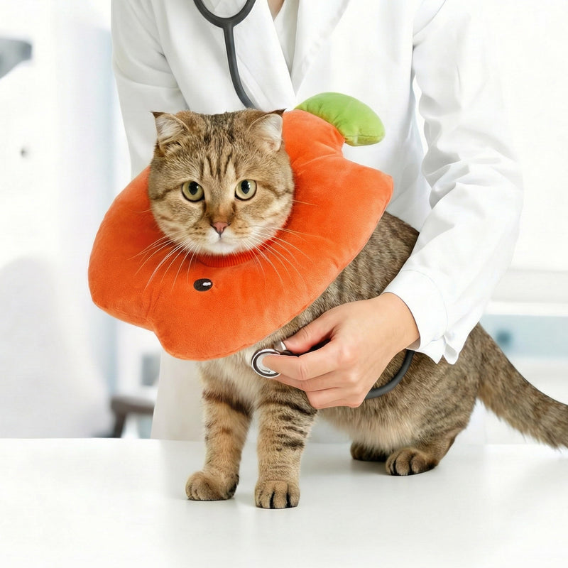 PUMYPOREITY Soft Fish Shaped Cat Cone Collar, Adjustable Padded Elizabethan Collar for Kittens, Anti-Lick Protective Neck Cone for Post-Surgery Wound Recovery, M, Orange Medium