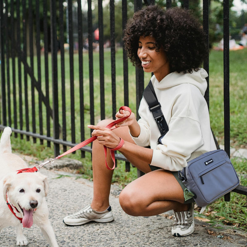 Dog Training Treat Pouch for Treats, Kibbles, Toys, Fanny Pack with Small Pouch, Cross-Body Bag Built in Poop Dispenser, Pet Food Carrier Bag Outdoor Travel Shoulder Bag (Light Gray) Light Gray - PawsPlanet Australia