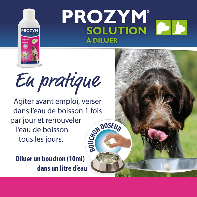 Prozym - Dental solution for dilution for dogs and cats - N°1 for veterinarians - Fresh breath - Anti-plaque - Healthy gums