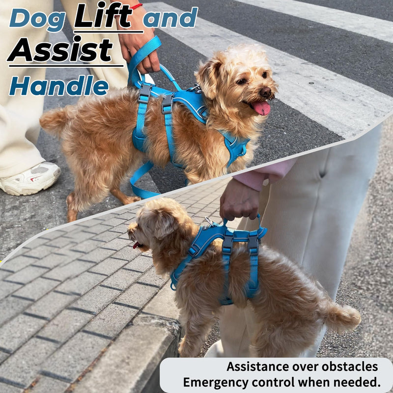 Escape Proof Dog Harness and Leash Set, Lightweight Dog Harness with Lift and Assist Handle, No Pull Reflective Pet Vest for Small Medium Dogs, Ideal for Puppy Walking and Training (Blue, S) Blue (Harness+Leash)