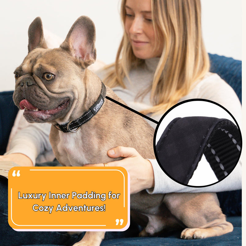 PAWBLEFY Personalized Dog Collars - Reflective Nylon Collar Customized with Name and Phone Number Adjustable Sizes for Small Dogs, Medium, Large 4 Colors Male Female boy Girl Puppies UPGRADED VERSION(CLASSIC) - PawsPlanet Australia