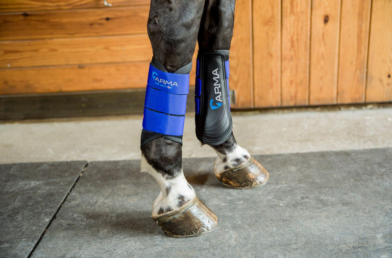 Shires ARMA Air Motion Brushing Boots Small Pony Royal