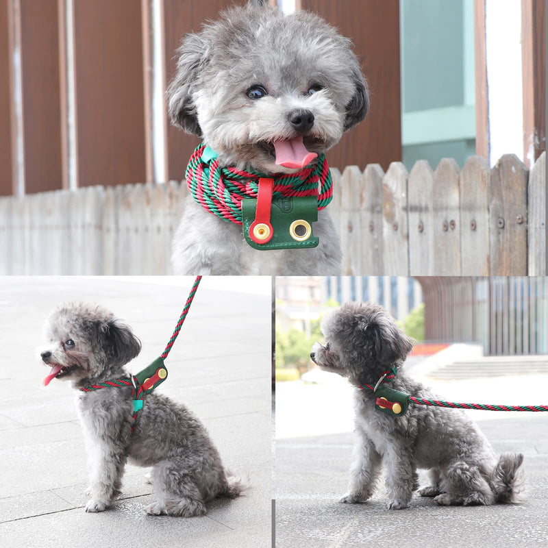 Slip Lead Dog Leash,Dog Harness and Leash Set for Walking - Head Collar with Rope Leashes for Pulling - DIY Dogs Scarf 6ft Dog Leash x 1/4in Thick Green Slider - PawsPlanet Australia