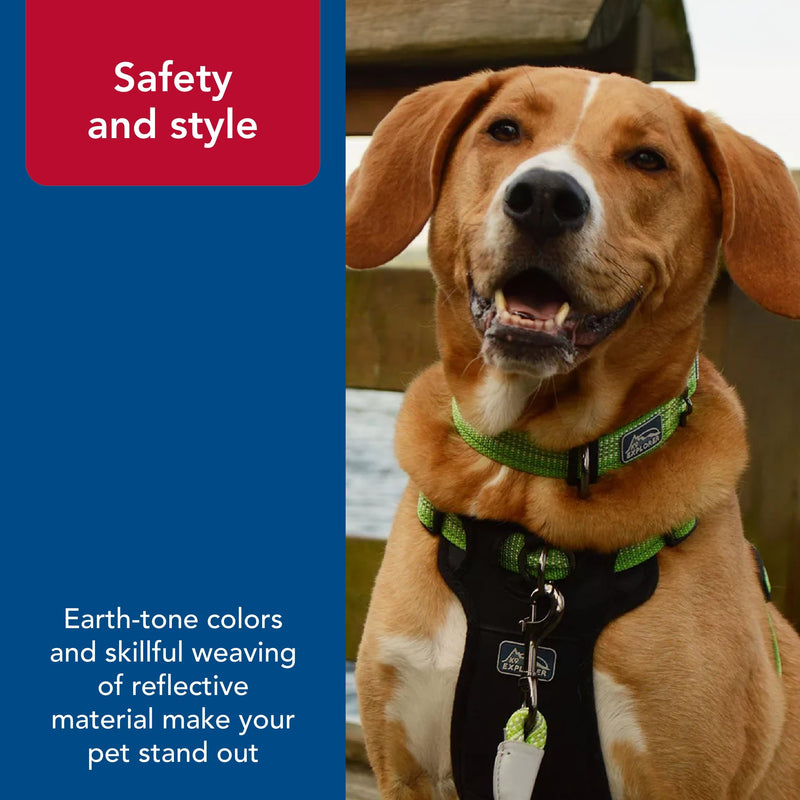Coastal Pet - K-9 Explorer - Brights Reflective Adjustable Dog Collar, Lake, 5/8" x 10"-14" 5/8" x 10"-14" (Pack of 1) - PawsPlanet Australia