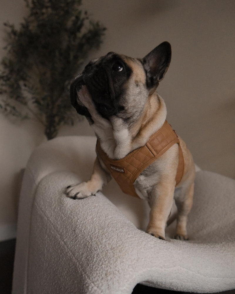 Step-in Dog Vest Harness Classic Quilted Design Vegan Leather Reflective Lightweight Breathable Mesh Soft White Taupe Brown Durable Stylish Pet Accessory (Tan Brown, Small) Tan Brown Small: Neck=9.4-11.4''/Chest=14.5-17'' - PawsPlanet Australia