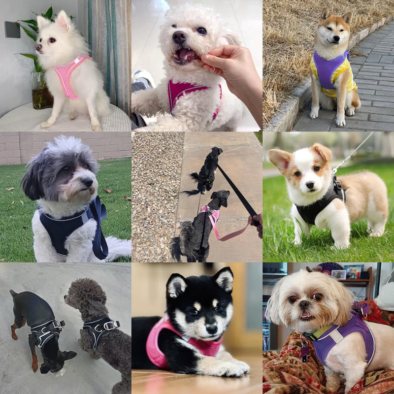 Dog Harness with Leash Set, No-Pull Step-in Reflective Pet Harness with 1 Leash Clips, Adjustable Soft Padded Easy Walk Dog Vest for Small Medium Large Dogs, Cats(Dark Blue,Medium) M(Chest:15"-16.5") Dark Blue - PawsPlanet Australia