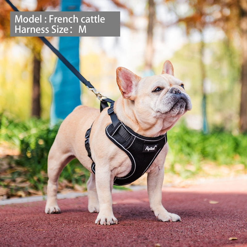 PUPTECK Small Dog Harness and Leash Set, No Pull Adjustable Puppy Cat Harness, Reflective Soft Mesh Pet Vest Small Sized S (6-14lbs, Chest 13.5"-18", Neck up to 15") Black - PawsPlanet Australia