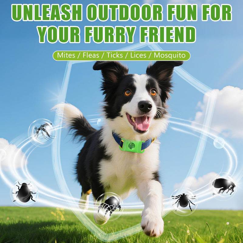 Natural Flea and Tick Prevention Dog Tag – Waterproof Collar Pendant with 2 Extra Refills, Green, Safe for All Breeds Collar Not Included green pendant+2refills - PawsPlanet Australia