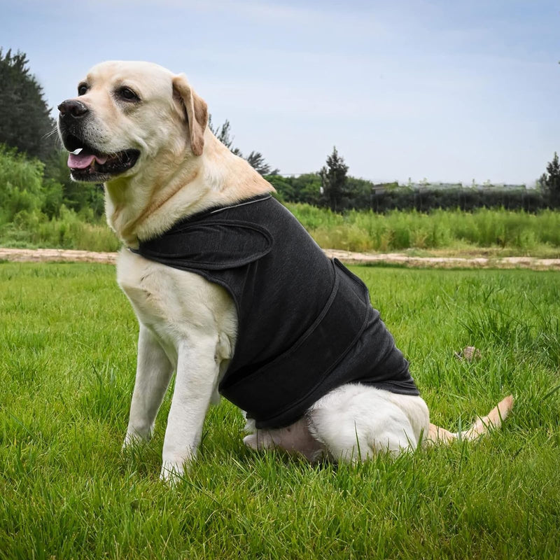 Skin-Friendly Dog Calming Shirt,for Thunderstorm,Travel, Fireworks,Vet Visits,Comfort Dog Anxiety Relief Coat,Keep Pet Calm,Separation Anxiety Relief for Dogs (Dark Gray, Large) Dark Gray - PawsPlanet Australia