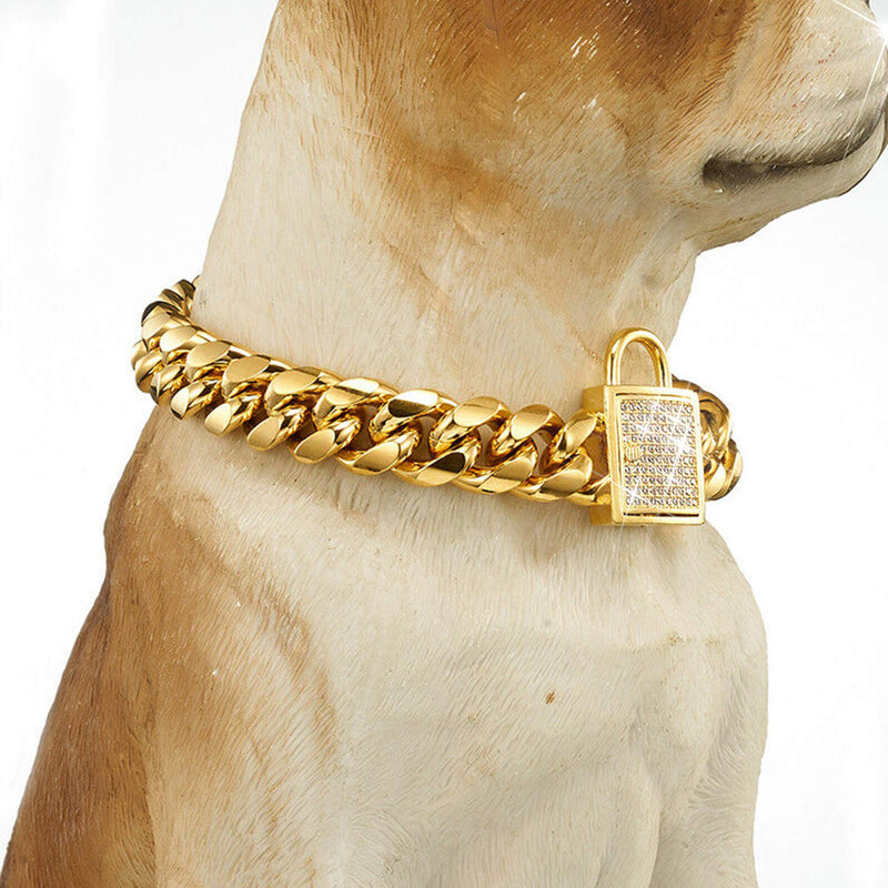 ToBeTrendy Cuban Link Dog Collar Designer Gold Chain Collar with Zirconia Locking 14mm Metal Puppy Collar Luxury Dog Bling Necklace(12 to 26in) 14" (Fits Neck 12" to 13.5") - PawsPlanet Australia