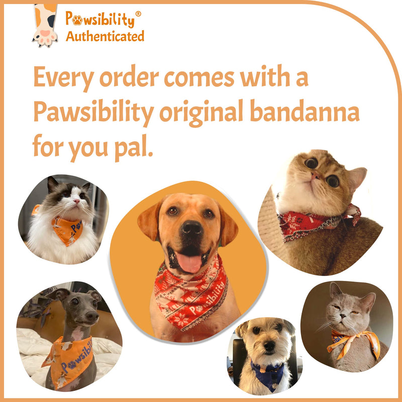 Reinvented Pet Nail Clippers for Your Pal - USB Rechargeable LED Light for Bloodline | Razor Sharp and Durable Blade | Vets Recommended Trimming Tool for Dogs and Cats - Pink - PawsPlanet Australia