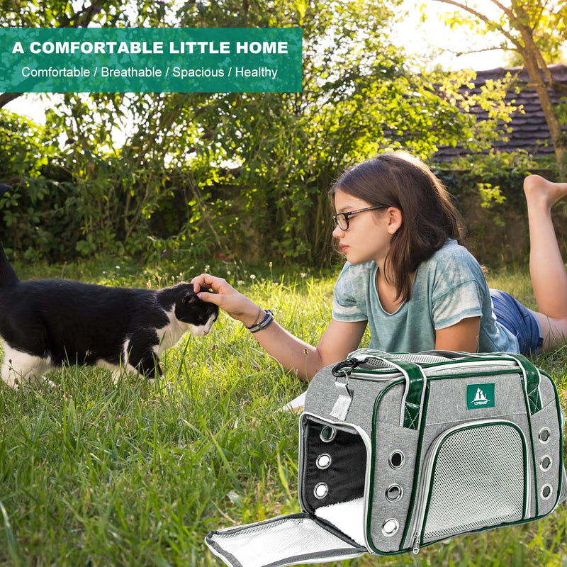 Lifeand Pet Carrier Airline Approved for Cats, Small Dogs, Kitten - Collapsible Soft Sided Travel Carrier for Small Medium Cats Under 18lb grey - PawsPlanet Australia