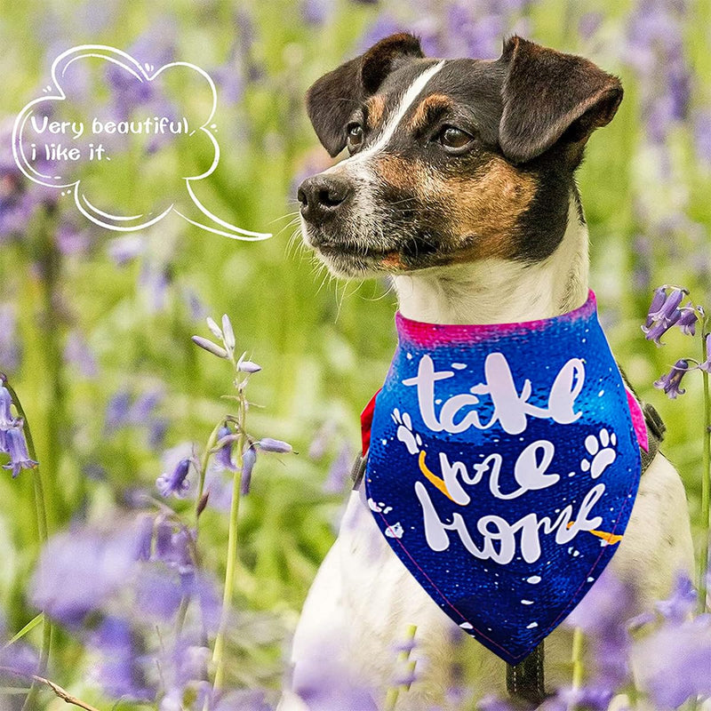 30Pcs/Pack Adopt Me Dog Bandanas Bulk Stitching Hemming Selvedge Sewing Scarves with Paw Print for Large Extra Large XL XXL Foster Animals to Look for Homes or Adoption Large/Extral Large