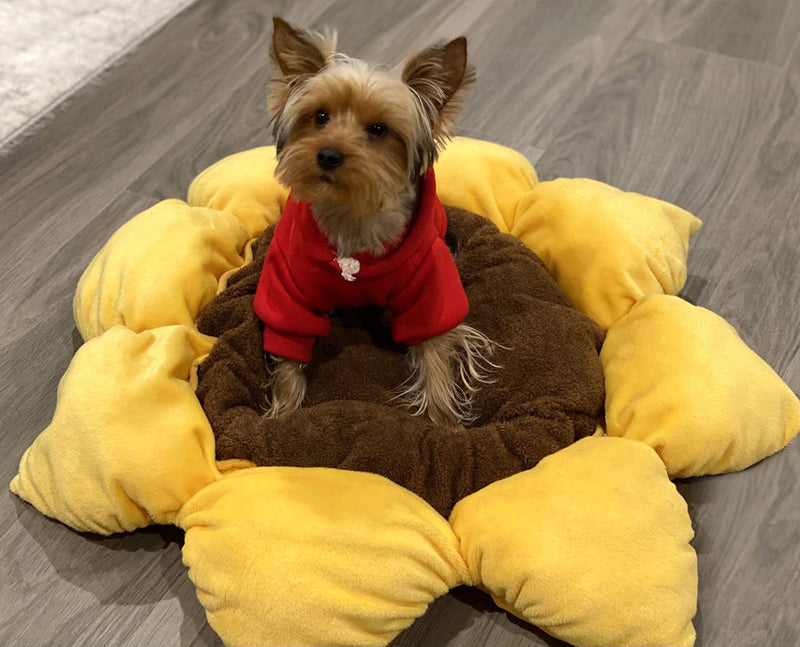 TONBO Soft Plush Small Cute and Cozy Nature Dog Cat Bed, Washer and Dryer Friendly (Sunflower) Sunflower - PawsPlanet Australia