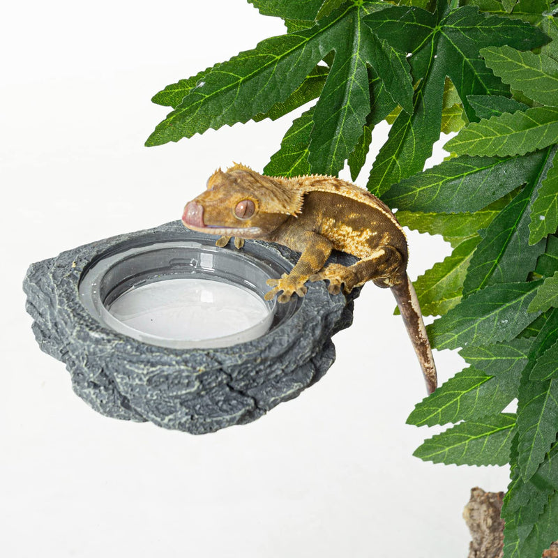REPTIZOO Reptile Magnetic Feeder Ledge, Single Bowl Reptile Food Dish with 3PCS Feeding Cups Food Water Feeder for Crested Gecko Lizard Chameleon Pets Small - PawsPlanet Australia