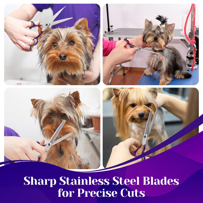 7” Dog Grooming Scissors Set – 6 in 1 Pet Grooming Kit with Curved, Thinning, Chunker & Straight Shears + Comb – 440C Stainless Steel Sharp Blades, Ergonomic & Quiet Design (Purple) Purple - PawsPlanet Australia