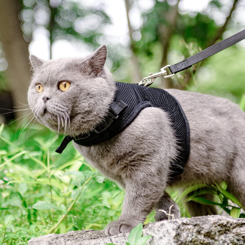 PUPTECK Soft Mesh Cat Vest Harness and Leash Set Puppy Padded Pet Harnesses Escape Proof for Cats Small Dogs Rabbits Bunny, Black XL XL(NECK 10.5"-13", CHEST 14"-17", 10-17 lbs) - PawsPlanet Australia