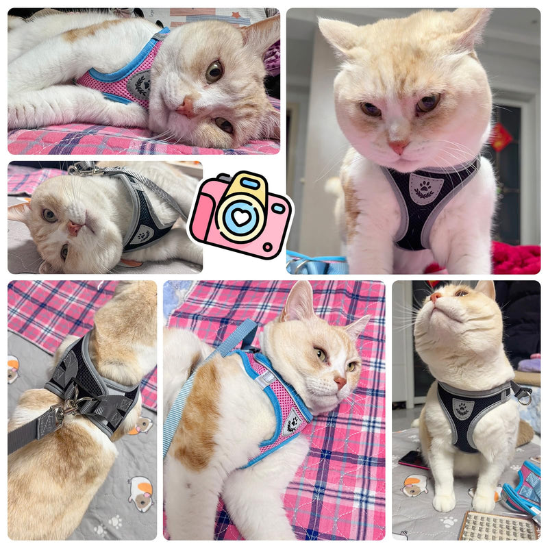 SCENEREAL Cat Harness and Leash Set Escape Proof, Adjustable Soft Air Mesh Kitten Harnesses for Girls Boys Small Medium Big Cats, Reflective Light Travel Pet Walking Vest for Puppy Rabbit, Black S Black(gray wrap and leash) S(Chest 11.5-13") - PawsPlanet Australia