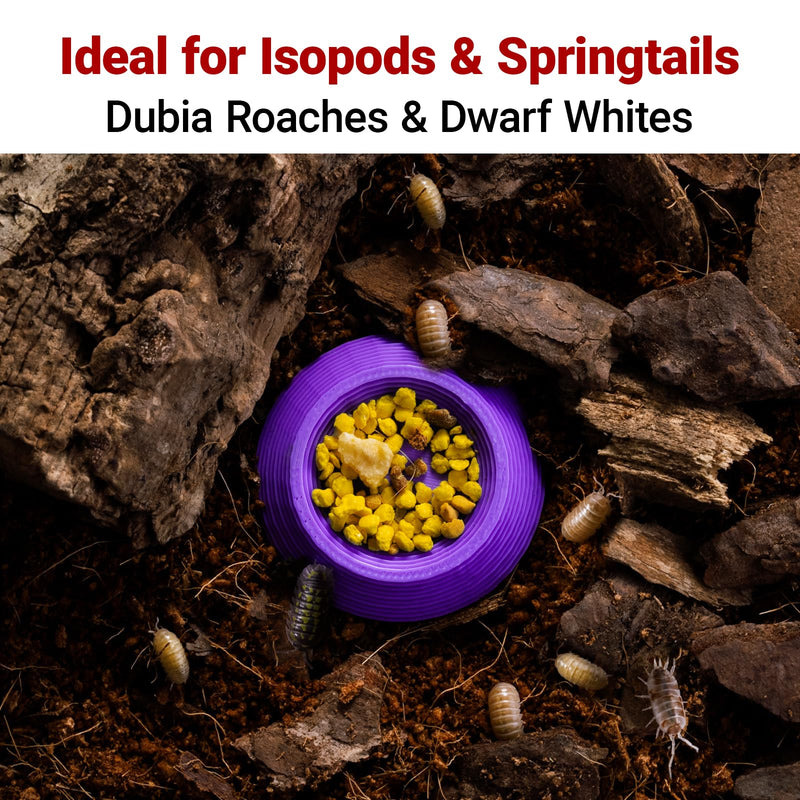 12pcs Isopod Feeder Bowls, Tiny Feeding Dish for Isopods, Springtails, Dubia Roaches, Dwarf Invertebrates – Colorful Food Dishes for Terrariums and Enclosures - PawsPlanet Australia