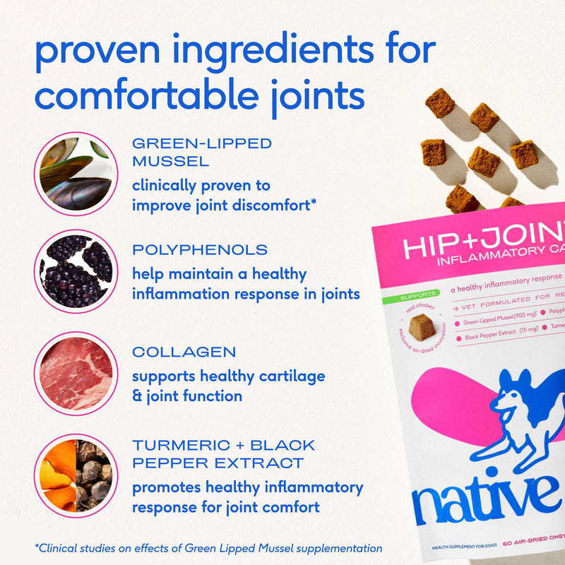 Native Pet Inflammatory Care - Pain Relief for Dogs - Green-Lipped Mussel, Turmeric & Collagen for Dogs - Hip and Joint Supplement Supports Healthy Inflammatory Response & Joint Comfort - 60 Chews 60 Count - PawsPlanet Australia