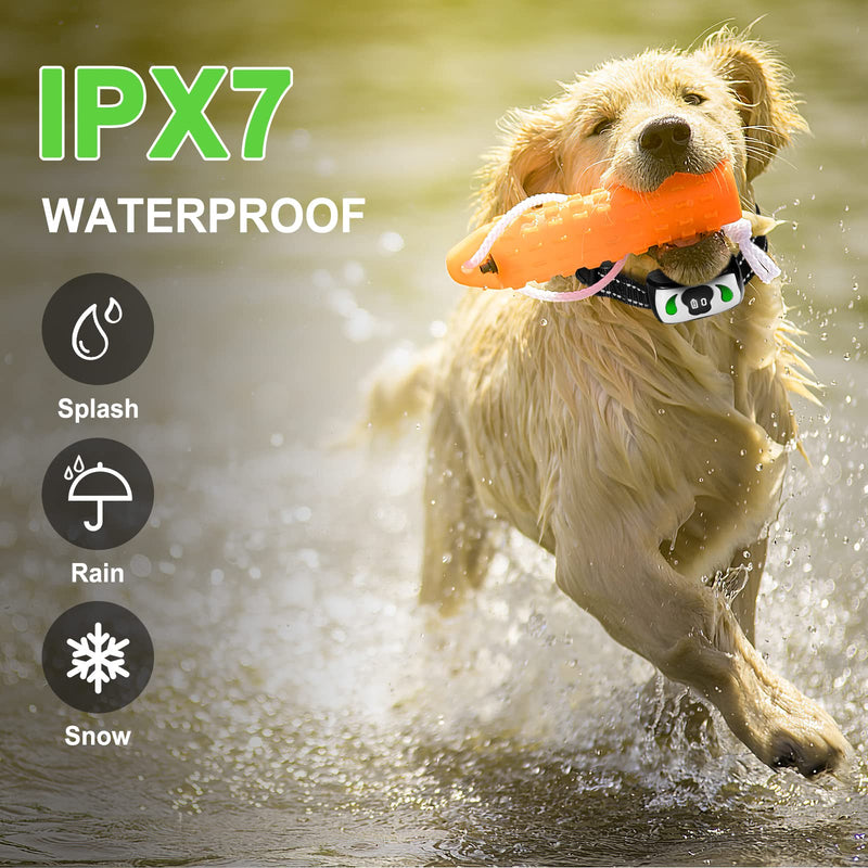 Dog Training Collar with 4 Training Modes - Dog Bark Collar with Mini Remote - Dog Shock Collar for Indoor & Outdoor, Shock Collar for Large Dog Medium Dog & Small Dog (10~120 lbs) White - PawsPlanet Australia