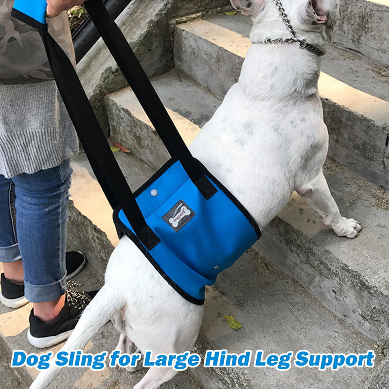 Dog Sling for Large Dogs Hind Leg Support, Dog Lift Harness with Handle for Lifting Back Legs for Weak Rear Legs, Soft Hind Leg Helps Senior, Injured, Disabled & After ACL Surgery (Blue, XL) Blue - PawsPlanet Australia