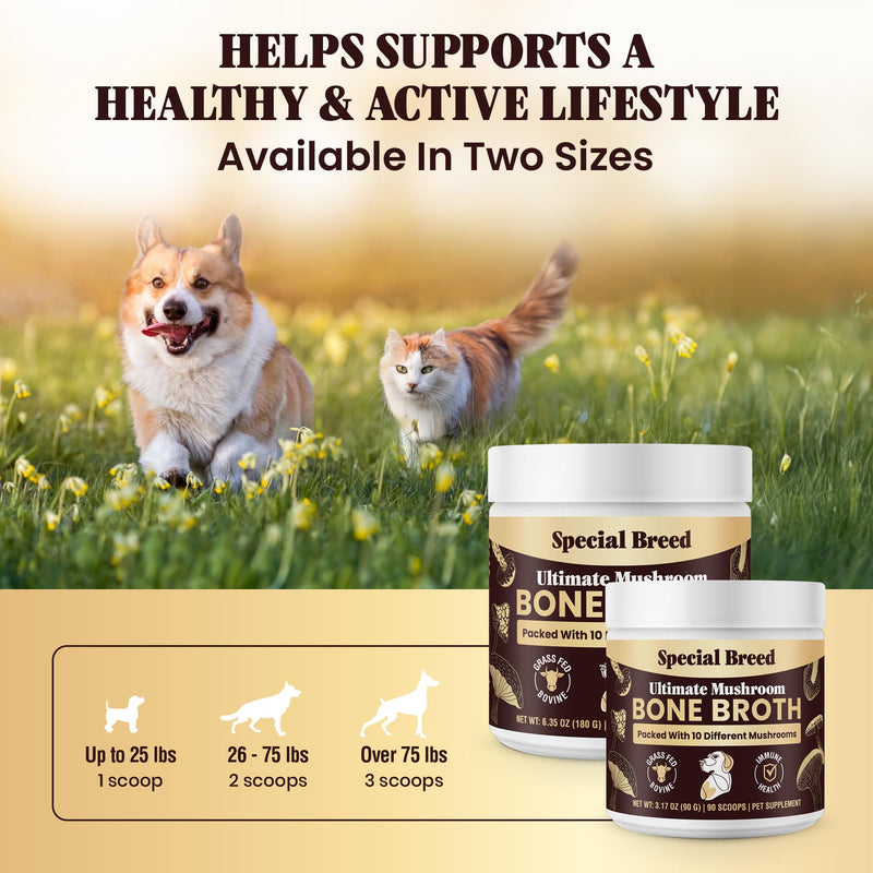 Beef Bone Broth for Dogs - High Protein Powder with Ten Organic Mushrooms & Collagen - Immune, Joint, Digestion & Cognitive Support - Tasty Dog Food Topper - Natural Hydration Booster 3.17oz