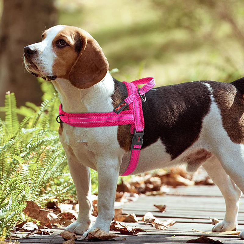 Didog Soft Mesh Padded Dog Vest Harness,Escape Proof / Quick Fit Reflective Dog Strap Harness, Easy for Training Walking XS:chest 15-18" Hot Pink