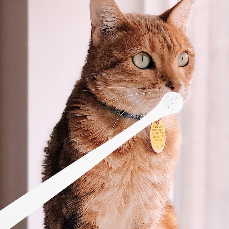 UKCOCO Cat Toothbrushes, 6-pack with non-slip handle and massage function, made of plastic and TPE for dental care for cats and dogs