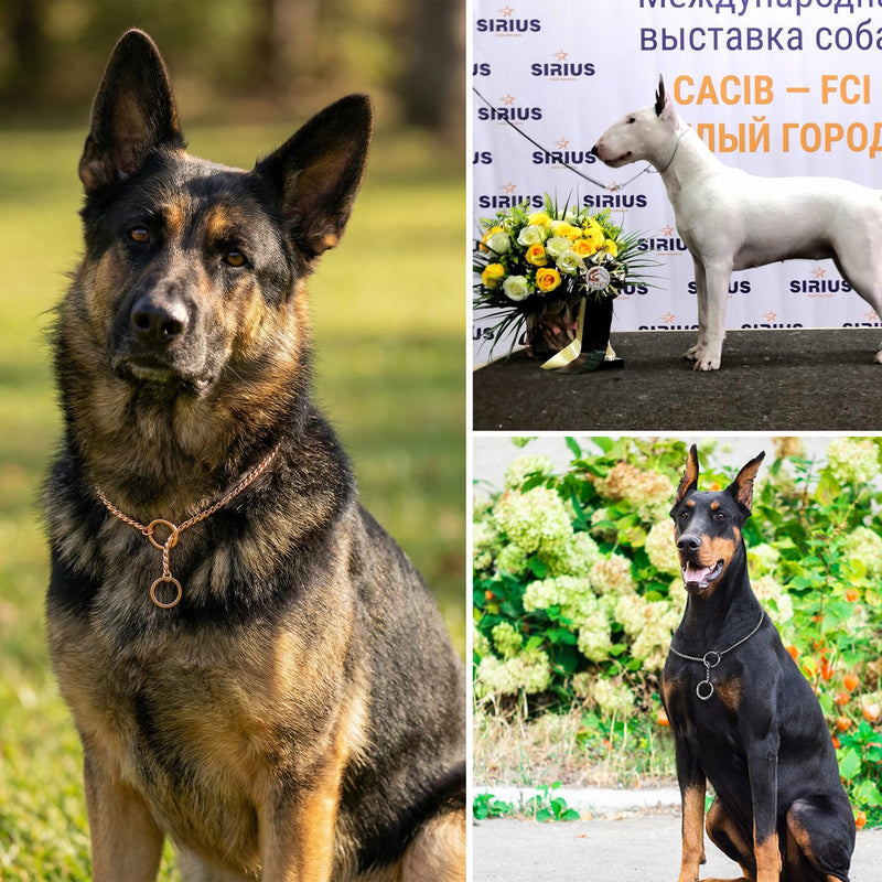 Heavy Duty Dog Choke Collar Slip Dog P Chain Snake Collar Plating Anti-Rust Dog Training Collars for Small Large Dogs Black/Gold/Silver/Rose Gold 15.5in-29.5in (17.5in, Silver) 17.5in