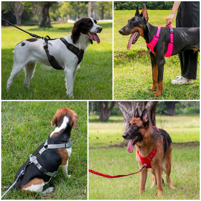 Plutus Pet No Pull Dog Harness, Reflective Adjustable Dog Vest Harness with Handle, Escape Proof, Soft Padded for Small Medium Large Dogs (Hot Pink, M) Hot Pink - PawsPlanet Australia