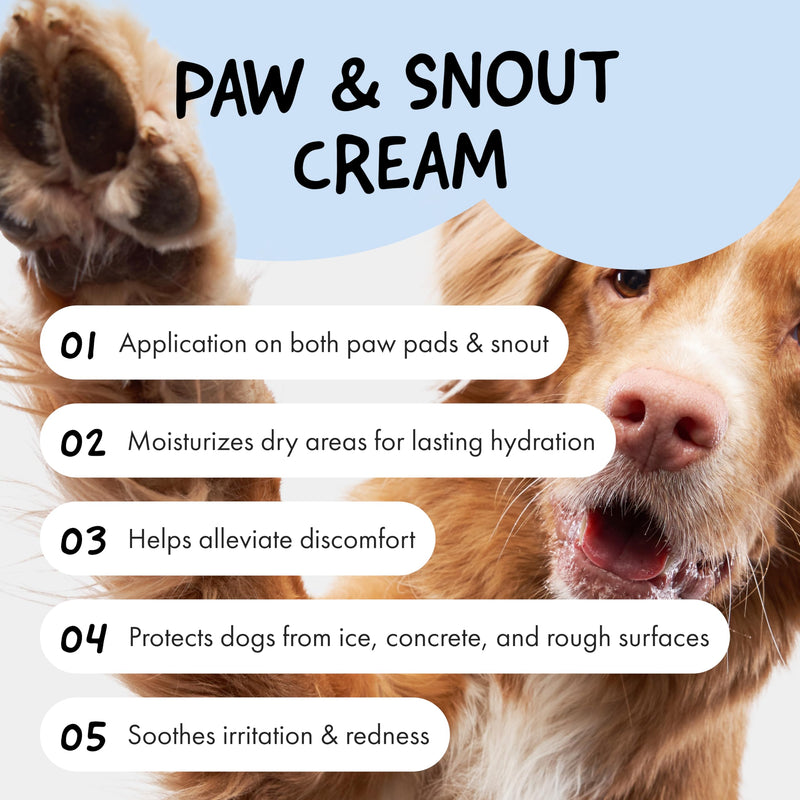 Belly Snout & Paw Cream for Dogs (1.7 oz) - 100% Natural Lick Safe Moisturizer, Soother & Protector for Cracked Paws, Snow & Salt - Fragrance Free - Elbows, Paws & Snout Soother for Dogs - PawsPlanet Australia