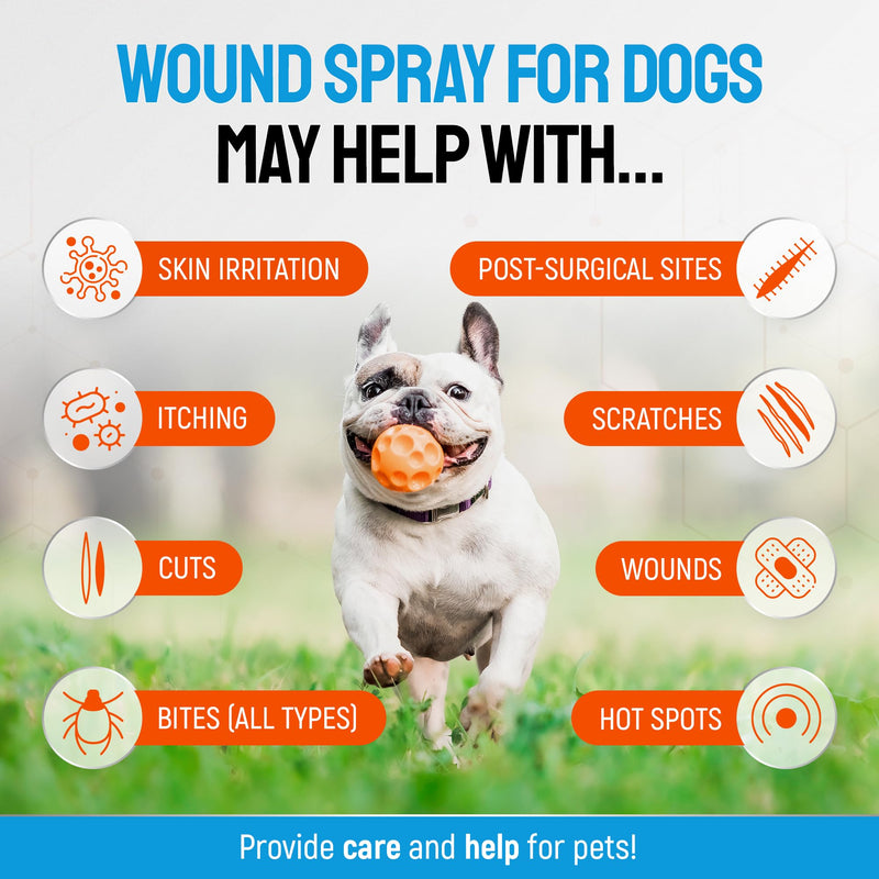 Hot Spot Treatment for Dogs – Silver Wound Spray Helps with Irritation, Bites, Burns, Rashes, Itch, Scratching – Better Use with a Dog Cone – 4 oz - PawsPlanet Australia