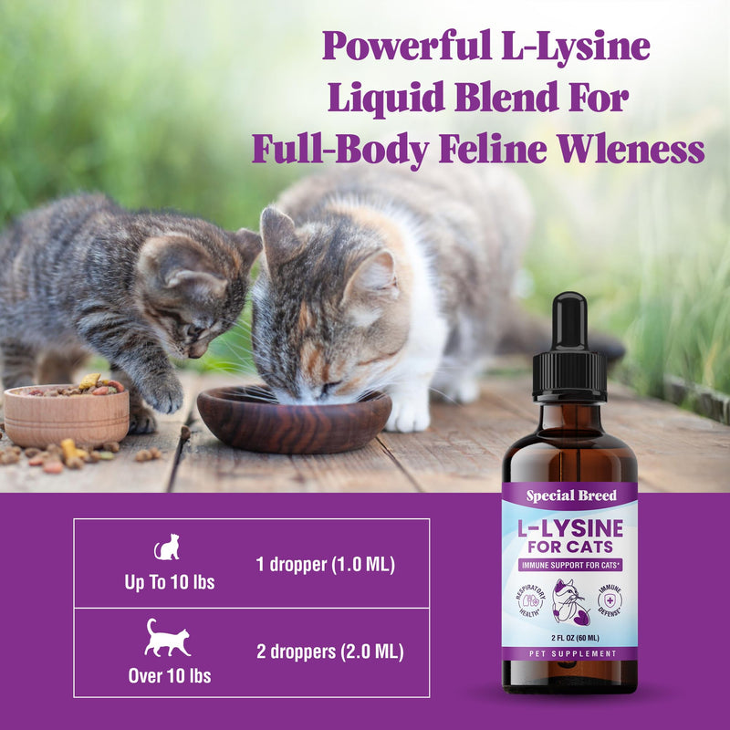 L-Lysine Supplement for Cats & Kittens – Immune Support Liquid for Feline Respiratory Health, Sneezing, Runny Nose & Watery Eyes – 250mg Lysine Cat Drops with Vitamins Complex – Chicken Flavor