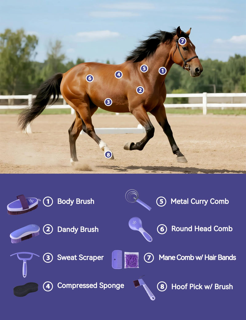9PCS Horse Grooming Kit Curry Comb Sweat Scraper Horse Bathing Supplies Grooming Tools with Storage Bag Sugar Taro - PawsPlanet Australia