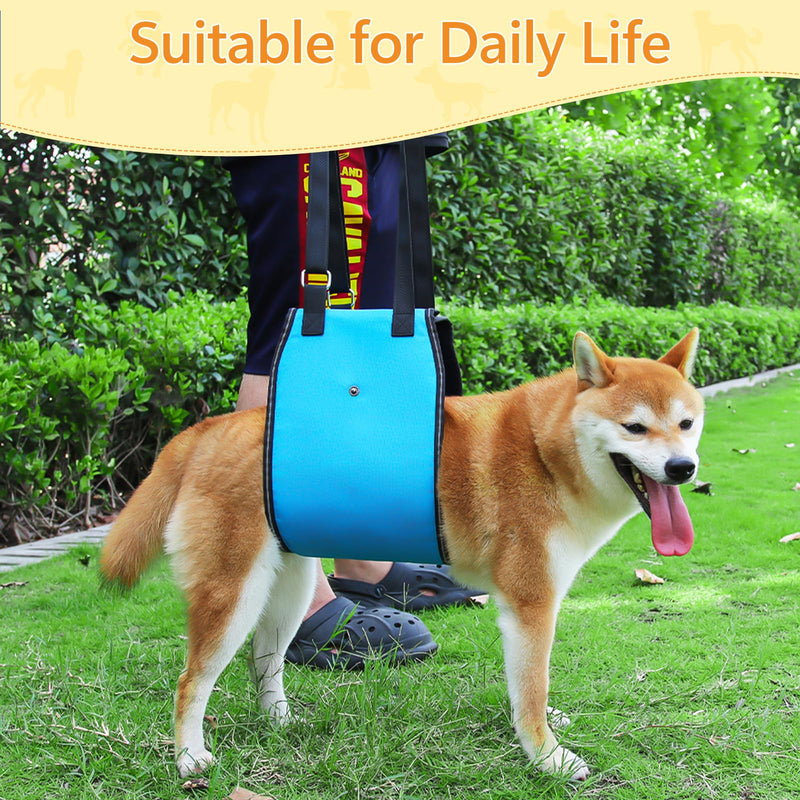 Dog Lift Harness Dog Sling for Large Dogs, Portable Dog Carrier Sling for Back Legs, Ajustable Hip Support Harness for Weak Rear Leg, Assist Senior Disabled Joint Injuried and After ACL Medium Blue - PawsPlanet Australia