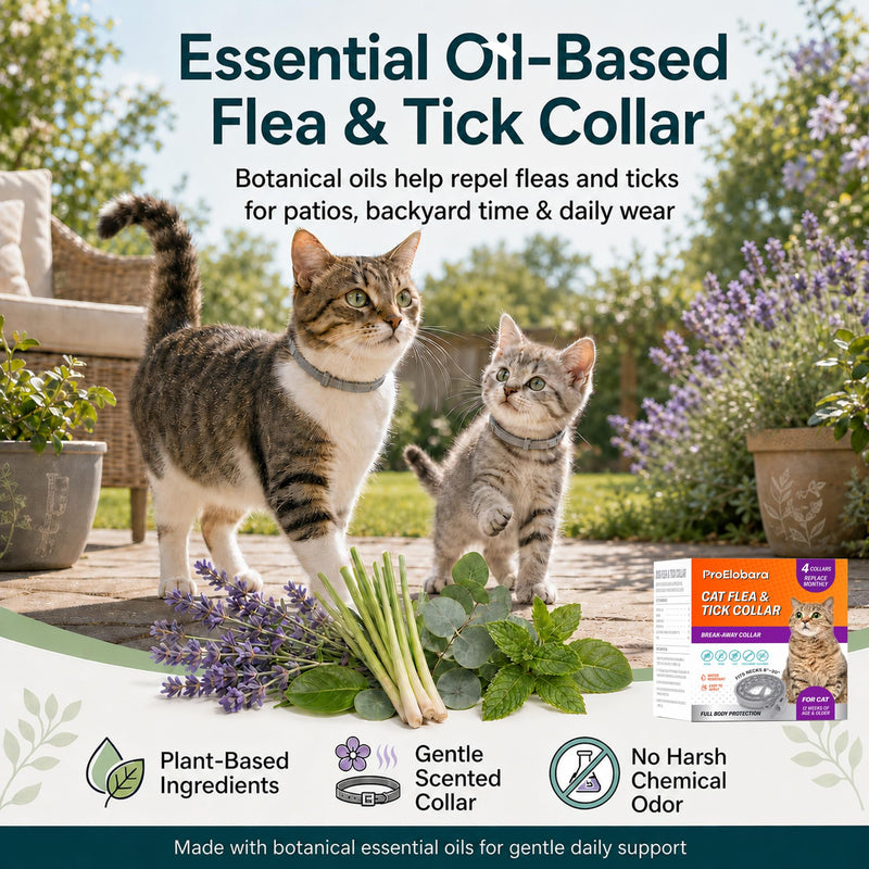 Flea Tick Prevention Collars for Cats: Essential Oil-Based Collar for 4 Month Support - Natural Fleas Ticks Breakaway Collar for Large & Small Cat, Outdoor Fleas Ticks Control for Kittens Gray