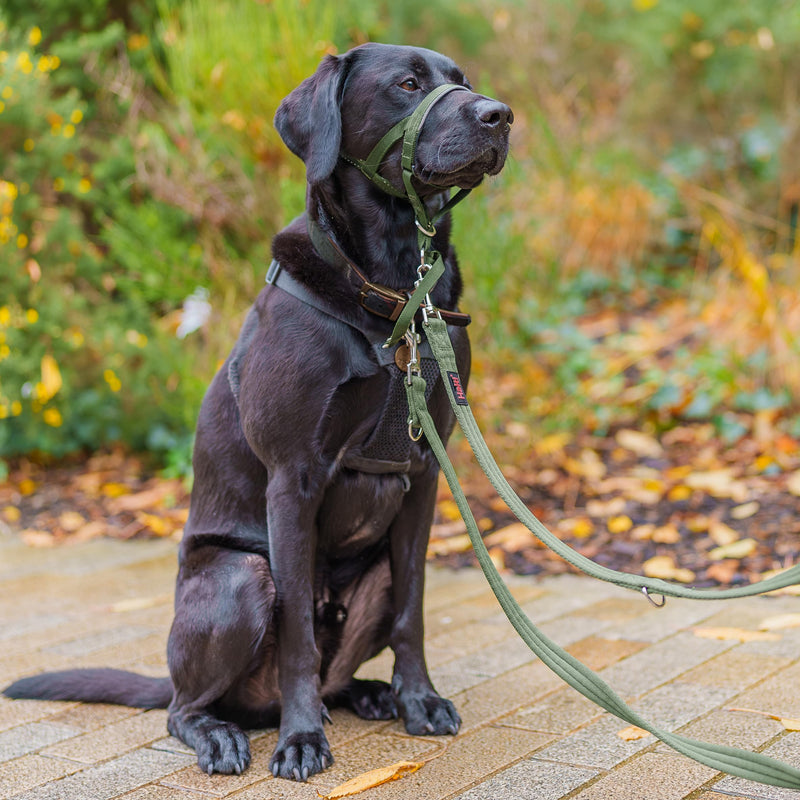 HALTI Training Leash - Multifunctional Double-Ended Dog Leash, Ideal for Anti-Pulling Dog Training. Lightweight & Durable. Suitable for Small to Medium Dogs & Puppies (Size Small, Forest Green, 2m) - PawsPlanet Australia