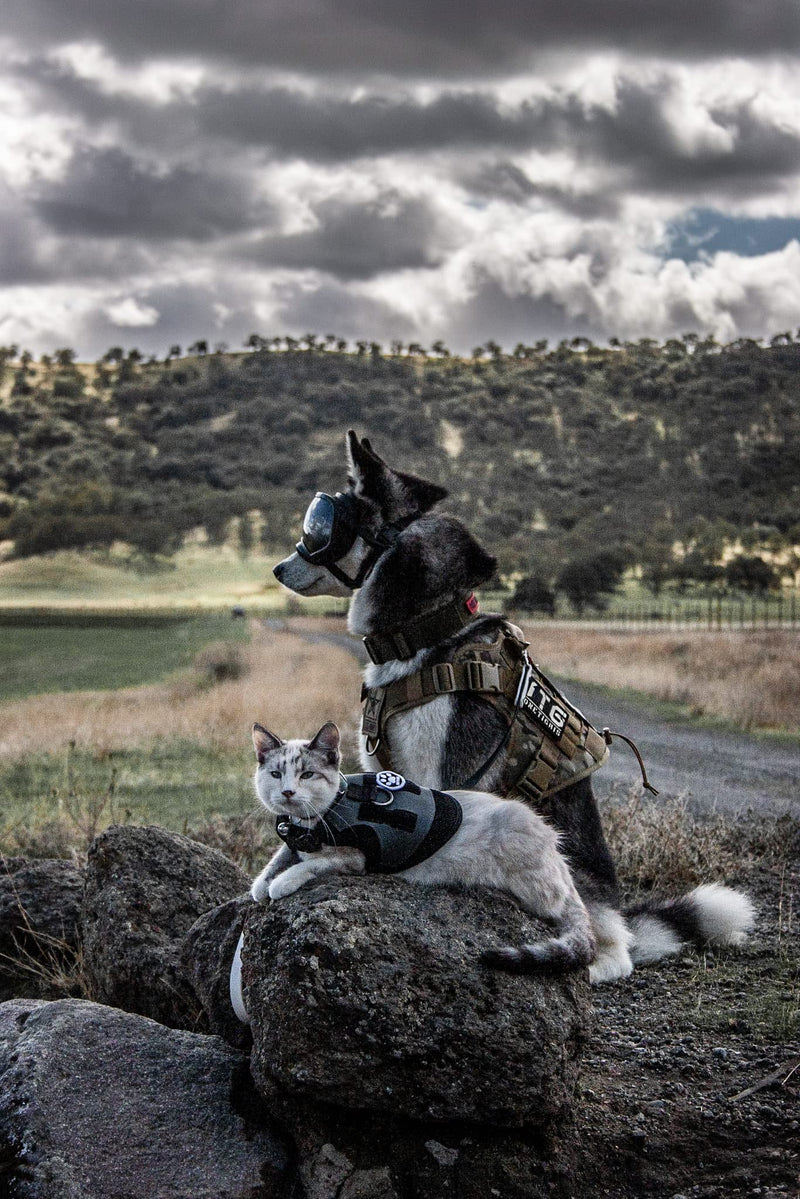 OneTigris Dog Harness Vest with Handle, Military Dog Harness for Large Medium Dogs,FIRE Watcher 2.0 No-Pull Service Dog Vest,Adjustable Dog Vest Harness for Walking Hiking Training(M,Green) Green - PawsPlanet Australia