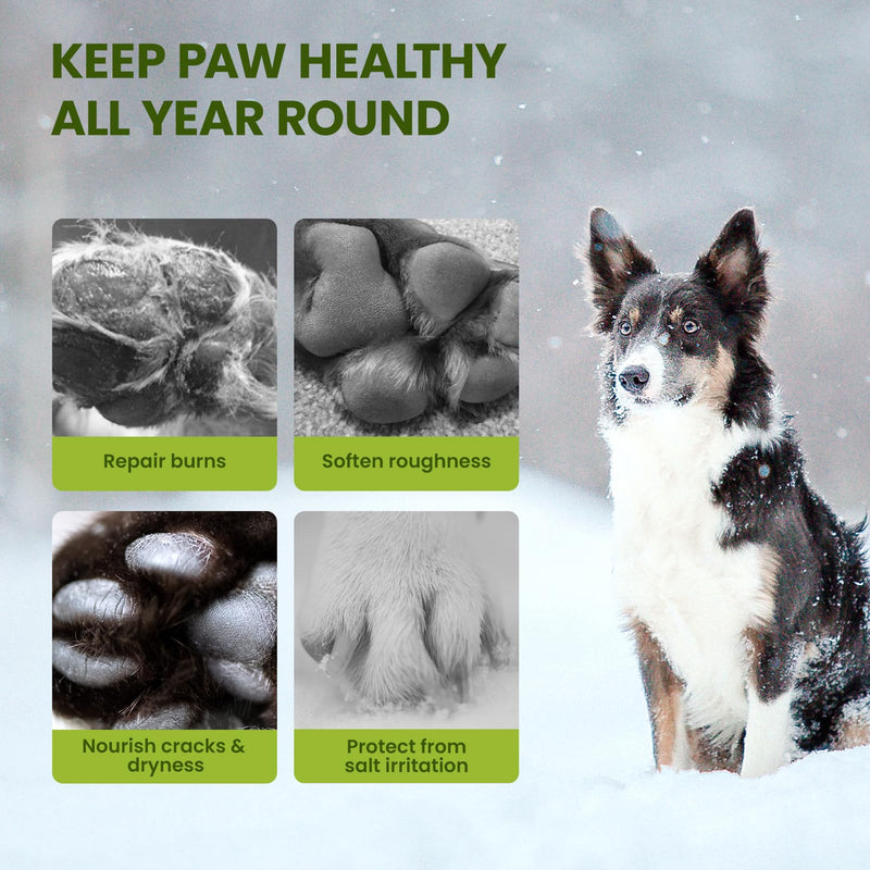 Dog Paw Balm for Dogs & Cats, All Natural Ingredients Lick-Safe Paw Pad Balm, Paw Butter, Moisturizer & Soother for Dry Cracked Paws & Noses | Dog Paw Protection from Snow, 1 Pack | 2.1 oz - PawsPlanet Australia