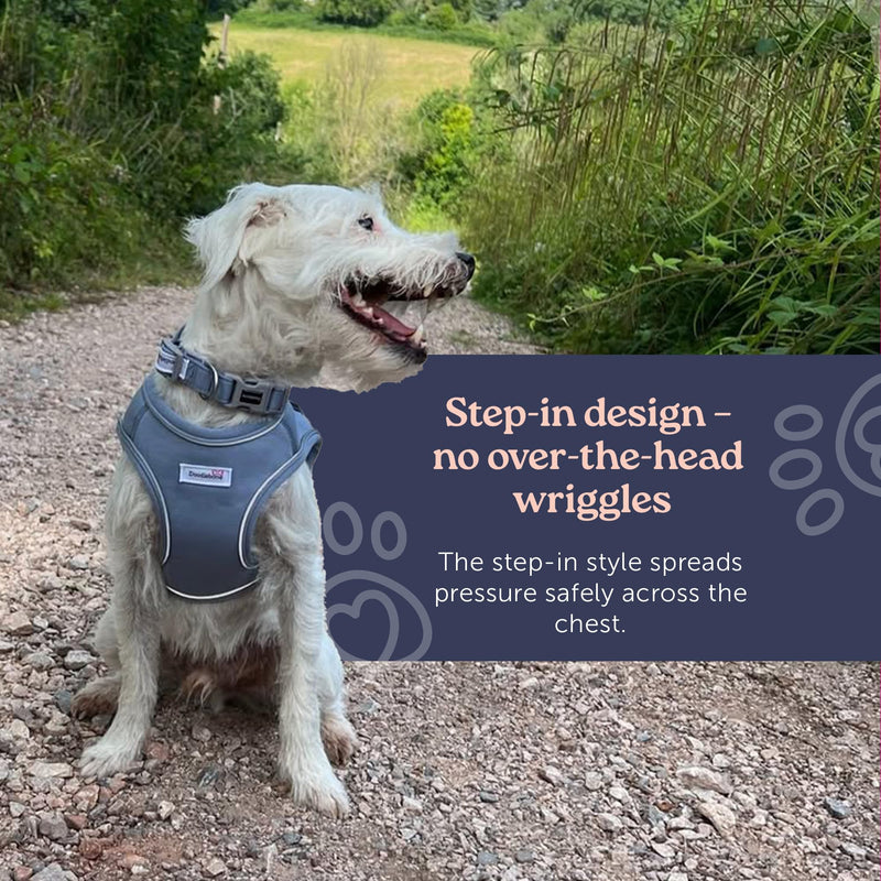 Doodlebone - Dinky Dog Snappy Harness - Step In Vest Style Harness for Small Dogs and Puppies, Lightweight Breathable Fit with Reflective Trim, Secure Fastening - Size 1-2 - Blue Cord - PawsPlanet Australia