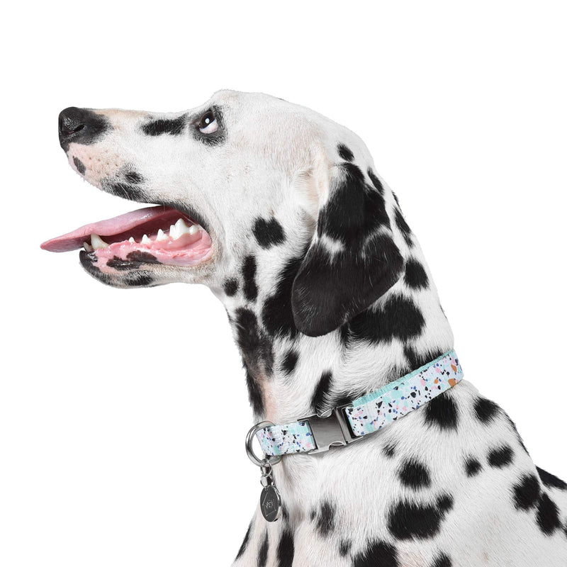 Now House for Pets by Jonathan Adler Mint Terrazzo Collar, Medium | Stylish and Fashionable Way to Keep Your Dog Looking Great | Cute and Adorable Dog Accessories for Pets - PawsPlanet Australia