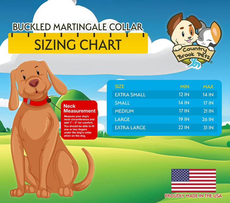 Country Brook Petz Heavy Duty Nylon Adjustable Martingale Dog Collar with Deluxe Buckle for Small Medium Large Breeds - 30+ Vibrant Color Options (5/8 Inch, Extra Small, Bright Red) Extra Small (Pack of 1) - PawsPlanet Australia