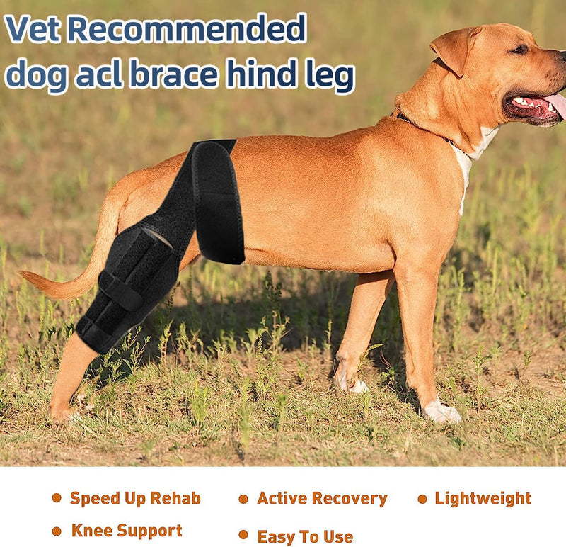 Dog Knee Brace for Torn ACL & Hind Leg Support – Adjustable Cruciate Ligament & Luxating Patella Brace for Recovery, Arthritis Relief, and Pain Reduction