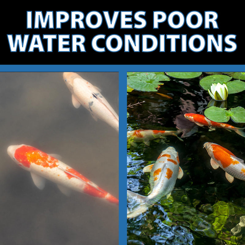 CrystalClear Barley Extract Pond Treatment – Natural Water Clarifier for Fountains, Water Gardens & Koi Ponds, Clears Cloudiness, Fish & Plant Safe, 16 Ounces 16 Oz - PawsPlanet Australia