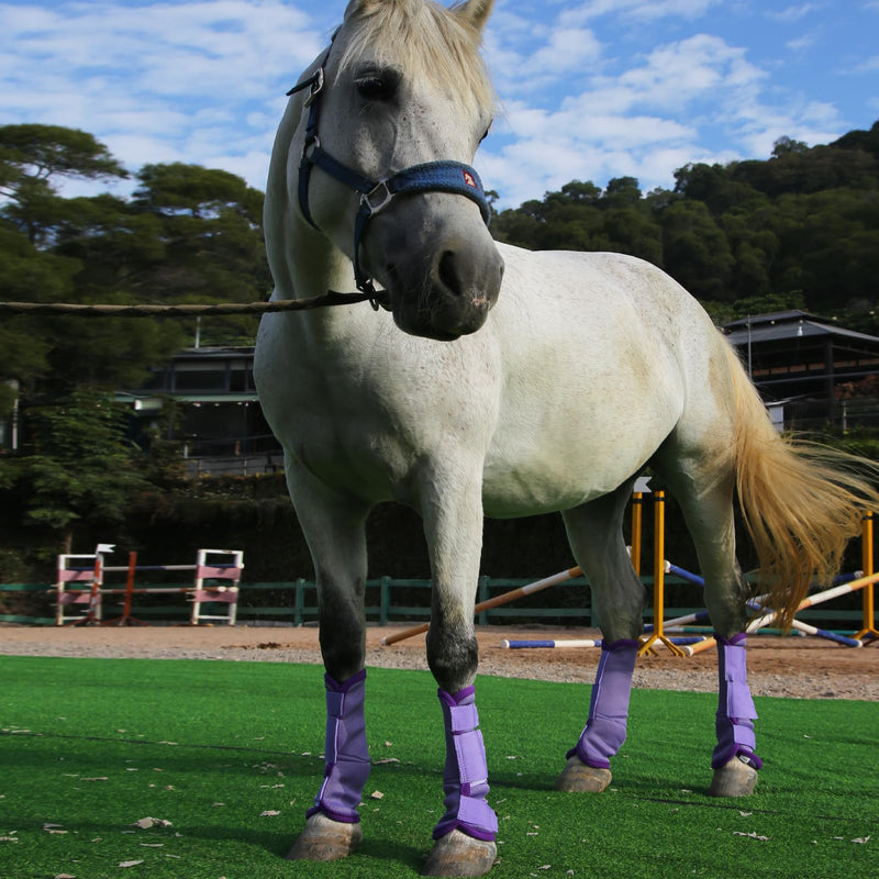 Horse Fly Boots Set of 4, Breathable Comfy Mesh Fly Boots for Horses, Non-Slip Horse Fly Leggings No More Stomping & Horsefly Nuisance Violet Full
